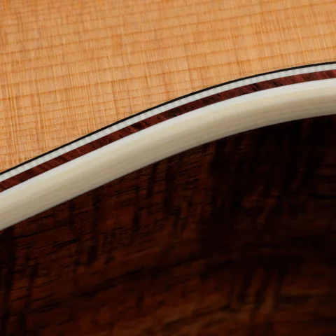 2024年の新アコースティックギター | Taylor Guitars